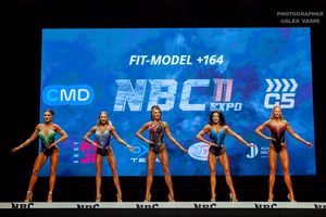 FIT-MODEL +164 раунд 1
